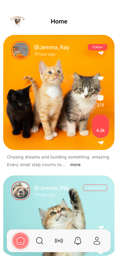 Lucky's home feed showing pet posts from people you follow